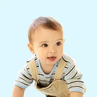 Univers de Petits soins