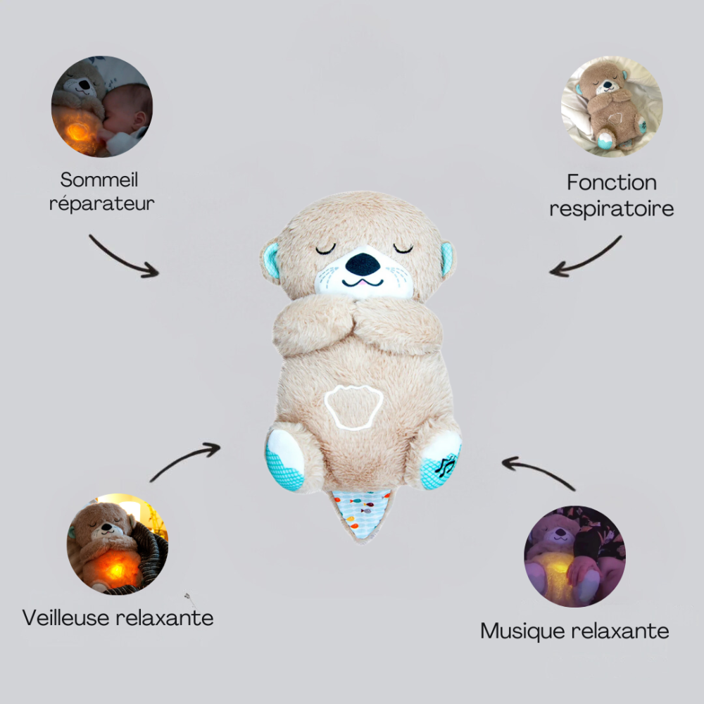 DreamCuddle™ Loutre